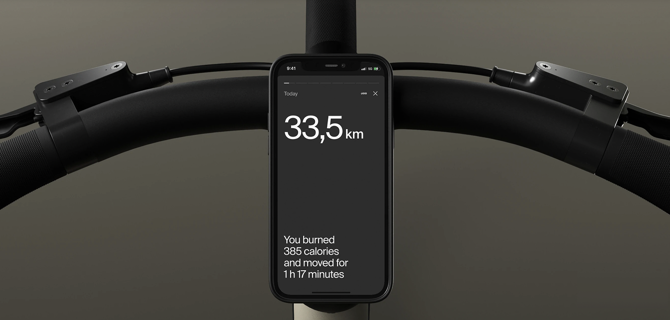 Steering wheel of a bike